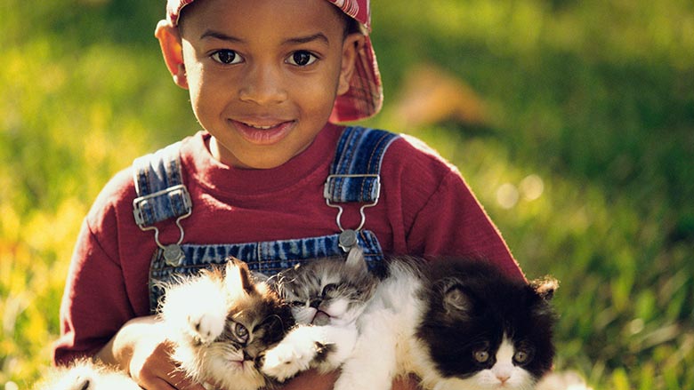 boy with kittens