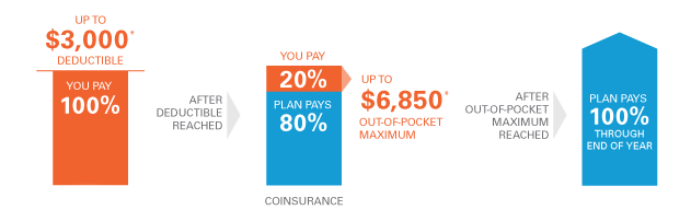 The Differences between Copay and Deductible | Difference ...