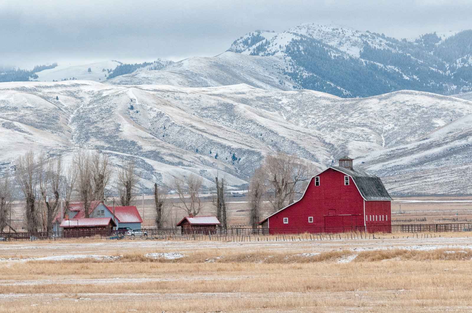 rural farm